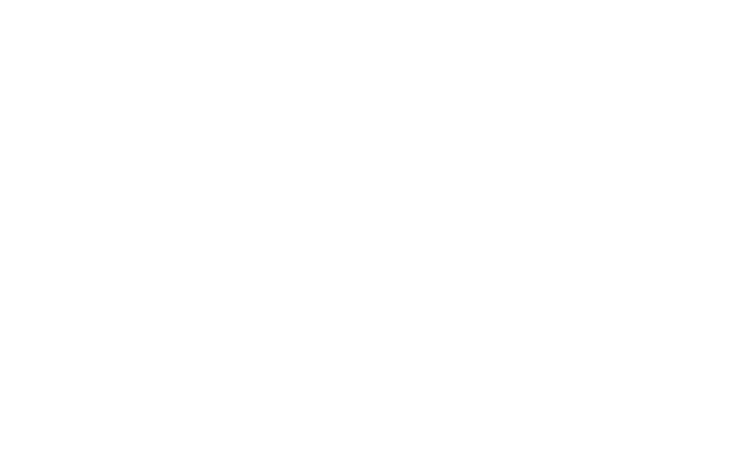 Turning Presentation into Participation 